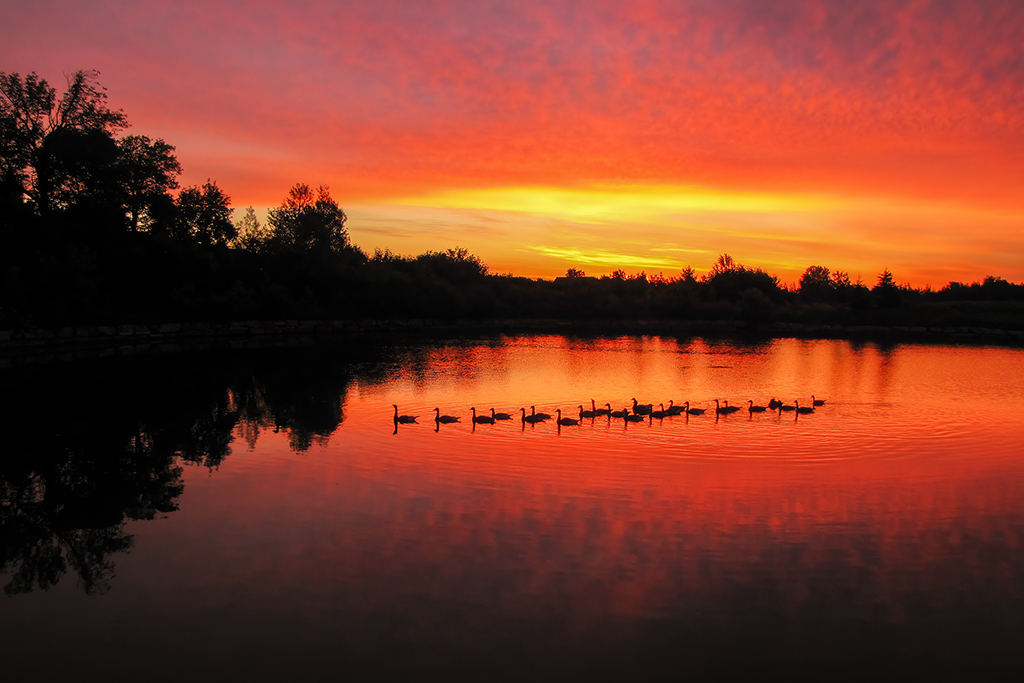 Morning light spills across the calm waters, painting the sky with the soft hues of a tranquil sunrise. Kanata, Ontario